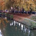 berges du canal du Midi en automne