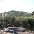 L'Acropole, historique 