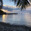 Deshaies Guadeloupe restaurant avec coucher  de soleil superbe 