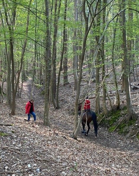 4. 2025. Saint Martin de Boscherville dimanche 6 avril - Copie