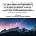 Pureté primordiale 