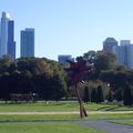 Virée dans le Loop et le North Loop, et premiers aperçus de ma vie estudiantine future