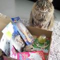 Mlle Minou et sa Miaoubox !!