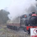Steam Train to Santa