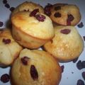 Muffins aux cranberries