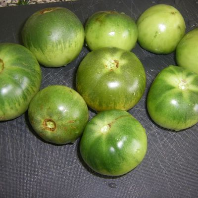 Confitures de tomates vertes du jardin