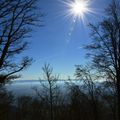 Le Haut Koenigsbourg - Alsace