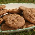 Cookies au chocolat et à la noix