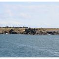 Vue sur les ruines du vieux château de l'île d'Yeu