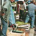 Petits larcins entre amis-Expo 2005