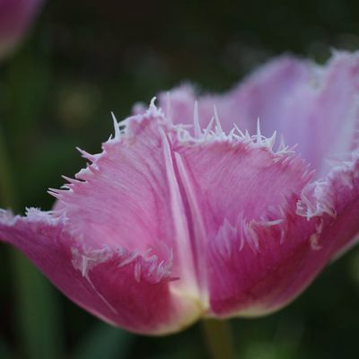 Pour faire un petit signe, nous terminons