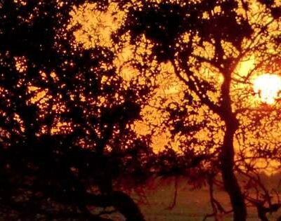 La beauté du paysage - جمال الطّــبيــعـة - Pour les couvertures de vos pages 