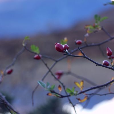 Retrouvez-moi sur INSTAGRAM !