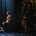 Le petit coiffeur : les grands principes à l'épreuve du réel 