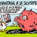 Chantage à la sextape - par Luz - 7 novembre 2015