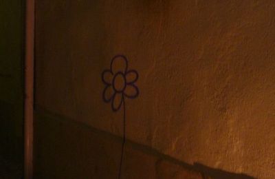 Flower in the night...