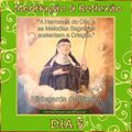 DIA 5 - 17 DIAS DE MEDITAÇÃO & REFLEXÃO COM SANTA HILDEGARDA DE BINGEN