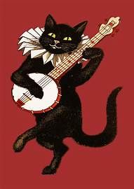 comprendre les chats