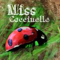 Coccinelle