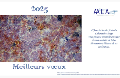 Voeux pour 2025