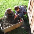 jardinage pour ces petites vacances et découverte de la traite des vaches !!!!!!!