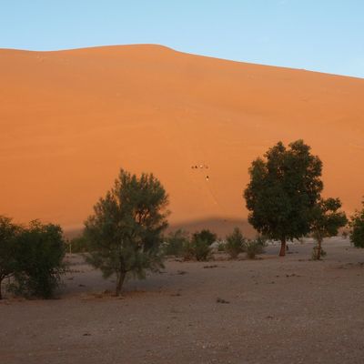 J 7 : Dernier jour et ... petite frayeur...