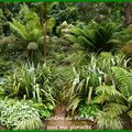 Jardins du Pellinec. [Côtes d'Armor, 22 710 Penvenan] 