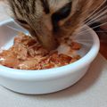Test produit : Aliments pour chat "Gourmet" chez PURINA 2/3 : boîte nature's créations