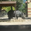 JARDIM ZOOLOGICO DE LISBONNE