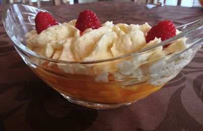 Salade de mangue et ananas(sirop basilic) et mousse de mangue au siphon et à l'agar-agar