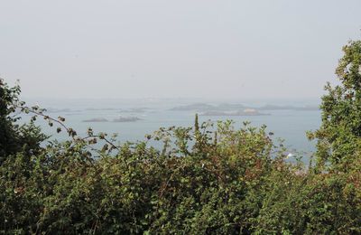 Bréhat, l'Île aux Fleurs