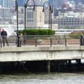 Le pêcheur de Jersey city