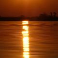 Le Botswana : safari en bateau sur la rivière Chobe 3