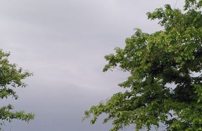 LUNDI 19 MAI 2025
