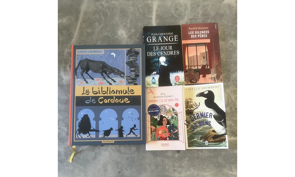 Livres 2024 (5)