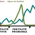 Existe-t-il une méthode de contraception naturelle, sans pilule, fiable? Comment connaître le cycle féminin?