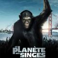 La planète des singes - les origines