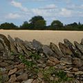 cabane et muret