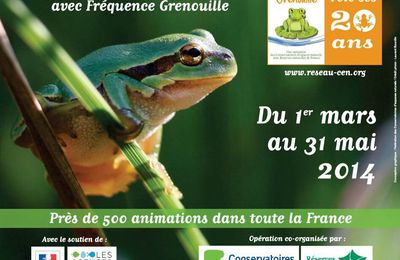 Mieux connaître et protéger les amphibiens : le pari de Fréquence Grenouille !