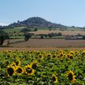 Quelque part en Auvergne......