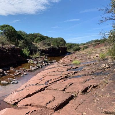 Le challenge 52 photos de Ma - Le temps qui passe #39