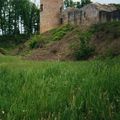 LE CHATEAU DE BRESSIEUX ET SA TOUR