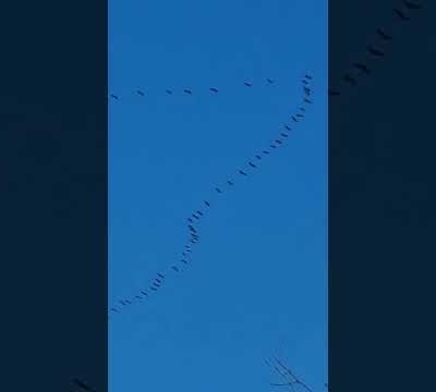 Projet 52-2026 : 2 ème semaine thème , HIVER