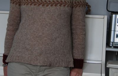 un nouveau pull pour l'hiver