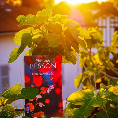 ✨ CHRONIQUE ✨Dîner à Montréal - Philippe Besson