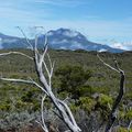 Chemin volcan ...