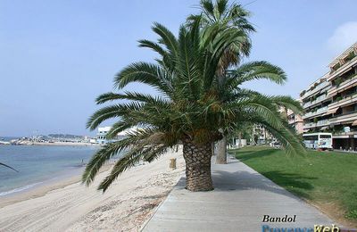 l'été s'ra chaud, l'été s'ra chaud