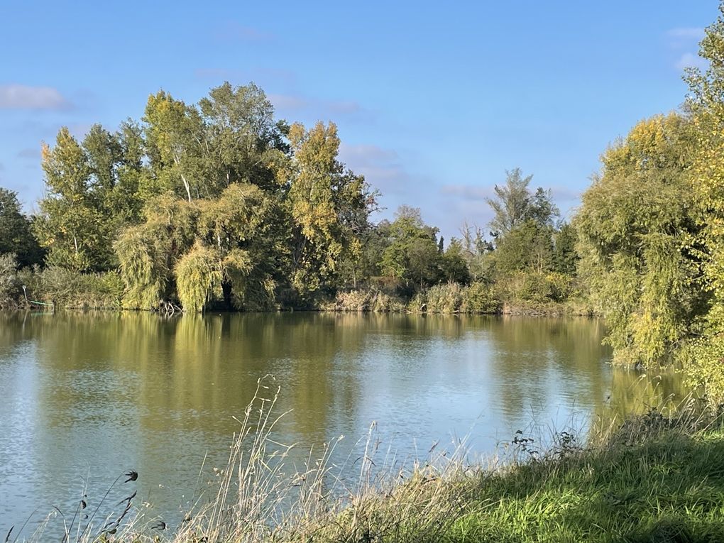 Mardi 14 octobre 2025 : j'ai fait découvrir cet Etang des Martailles (Martres d'Artière, 63430 Martres d'Artière) à Marike , nous en avons fait le tour , moi j'y viens souvent  mon diapo s'en suit , mes photos datent du 11 oct 2025