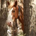 7 jours 7 photos en Pays Catalan