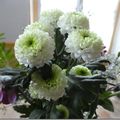 Le bouquet du weekend